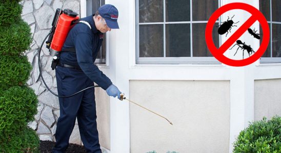 Yakutiye Akrep İlaçlama böcek ilaçlama ve haşere kontrolü — ilaclama-tr.com